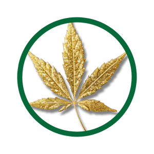 very potent weed strains